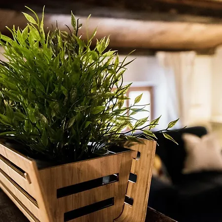 Apartamento Bright - Borsari Historical